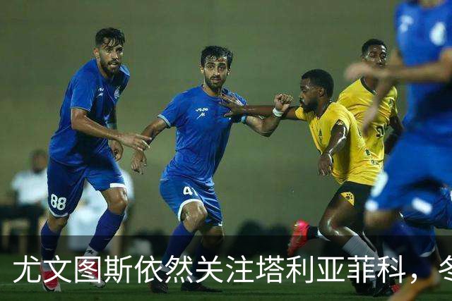 尤文图斯依然关注塔利亚菲科，冬季转会目标明确